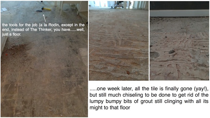 Tackling the Floor! (and....The Skunks Come Out at Night)